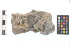Foto von Gold Gediegen (NHMW-MIN-Aq698)
